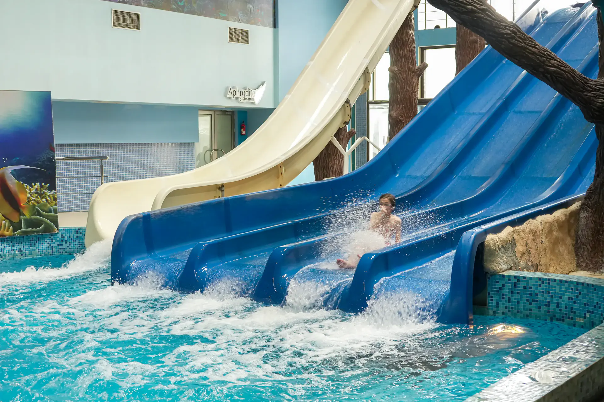 Aquatek slide photo 7